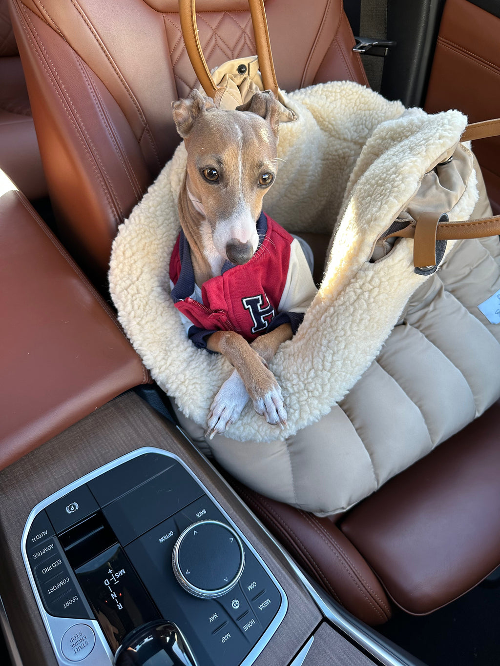 Lyxig Hundbilstol & Resväska – Komfort & Säkerhet för Små Hundar