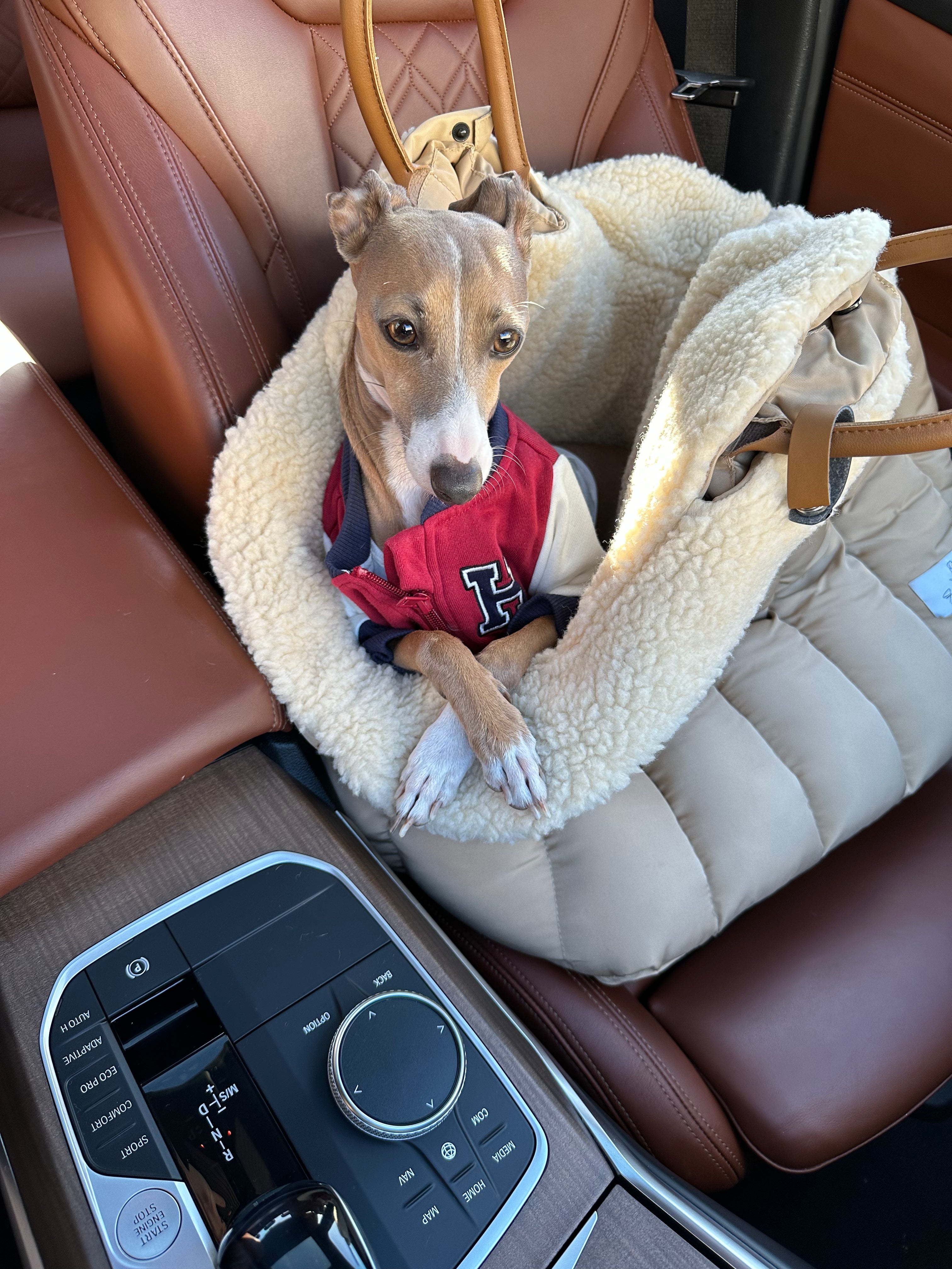 Lyxig Hundbilstol & Resväska – Komfort & Säkerhet för Små Hundar