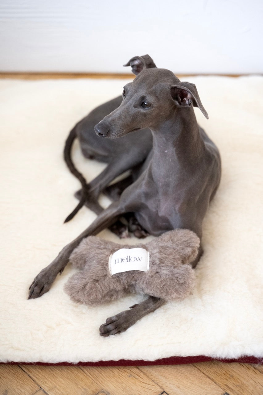 Naturligt Ullben för Hund – Handgjort & Ljudstimulerande